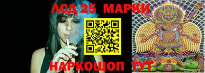 молекула духа Новозыбков
