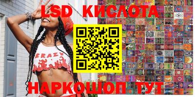 молекула духа Новозыбков