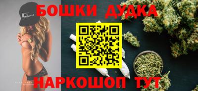 молекула духа Новозыбков