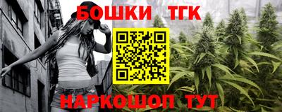 молекула духа Новозыбков