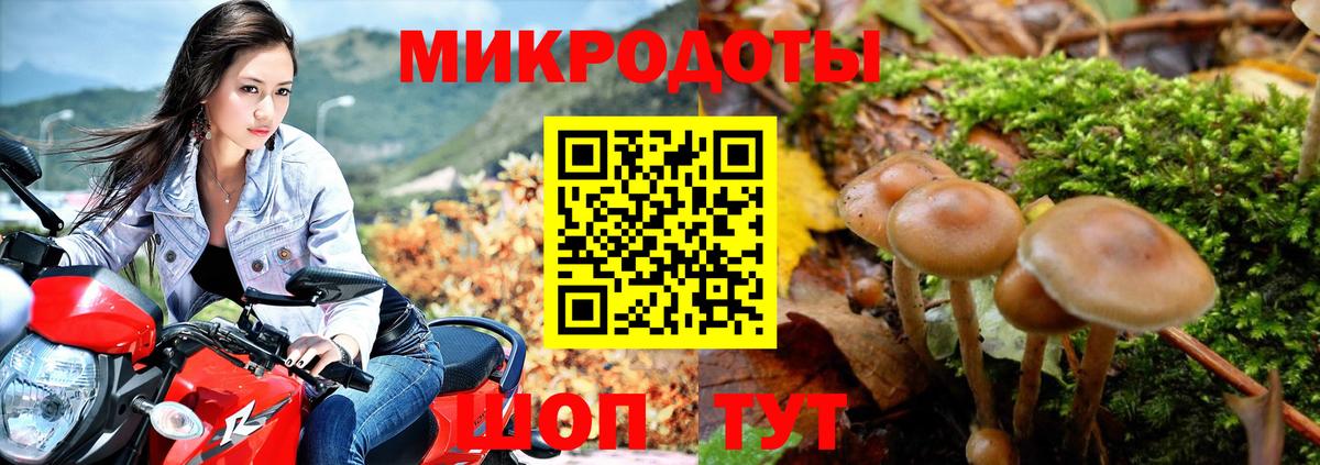 Псилоцибиновые грибы мицелий  Вход с VPN  Ульяновск  Галлюциногенные грибы GOLDEN TEACHER 